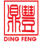 dingfeng_logo